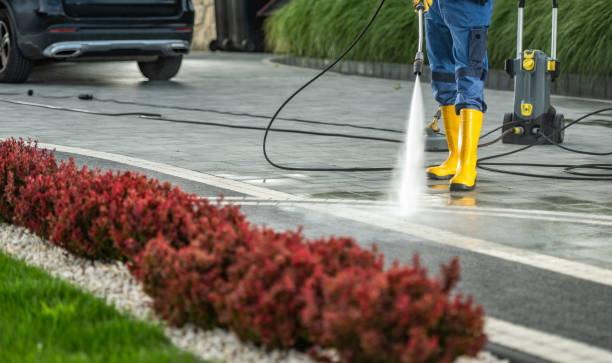 Best Factory Floor Cleaning  in Homestead Valley, CA
